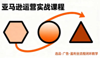 毕方电商·亚马逊全站会员课程(更新3月) 毕方电商·亚马逊全站会员课程(更新3月)