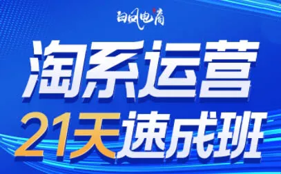白凤电商·淘系运营21天速成班(更新7月) 白凤电商·淘系运营21天速成班(更新7月)