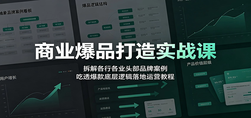 商业爆品打造实战课:拆解各行各业头部品牌案例,吃透爆款底层逻辑落地运营教程 商业爆品打造实战课:拆解各行各业头部品牌案例,吃透爆款底层逻辑落地运营教程