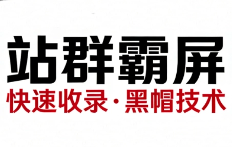 SEO野路子实战全集:快速收录、站群霸屏、黑帽技术 SEO野路子实战全集:快速收录、站群霸屏、黑帽技术