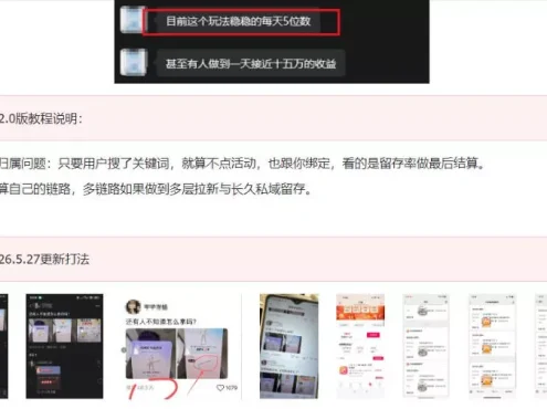 KS项目2.0期-拆本周结1W项目思路，几张图撬动流量群体，真的生猛