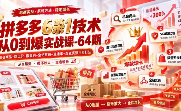（20315期）拼多多6杀1技术从0到爆实战课-64期：机会商品+防比价+限量购+全站营销+直通车+裂变完整六步打法